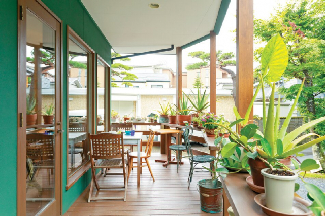 ナチュラル空間で楽しむカラダが喜ぶヘルシー料理「Natural Cafeina」