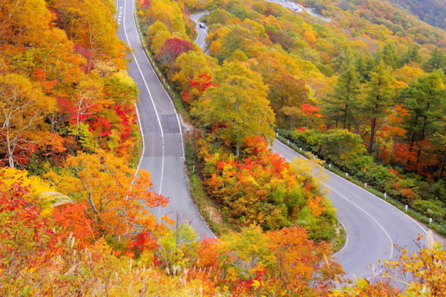 【磐梯高原絶景ドライブ×磐梯吾妻スカイライン】2頭の竜の姿を想像してみよう「双竜の辻」