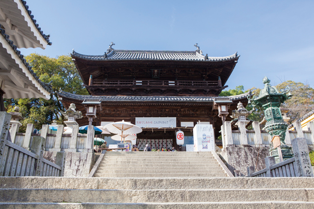 【香川・金刀比羅宮】大門 365段目