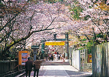 【ココもチェック】