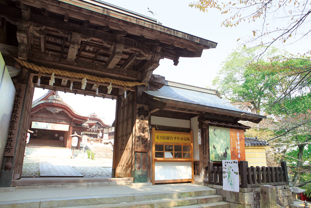 【香川・金刀比羅宮】社務所門 477段目