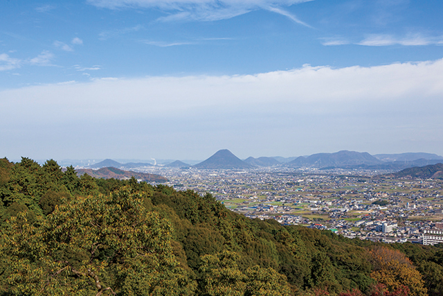 【香川・金刀比羅宮】御本宮 785段目