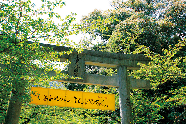 シンボルカラーの黄色に注目