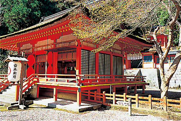 【香川・金刀比羅宮】白峰神社 923段目