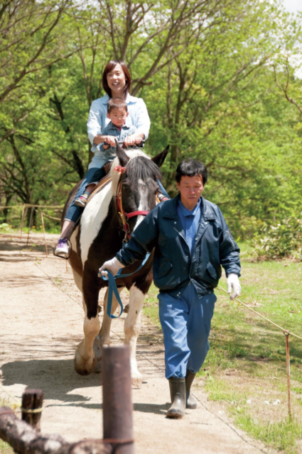 【牧場遊び】牧場体験