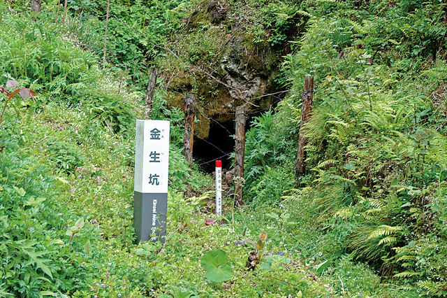 【石見銀山×ガイドツアー】大久保間歩一般公開限定ツアー