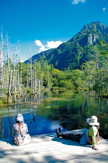 岳沢湿原