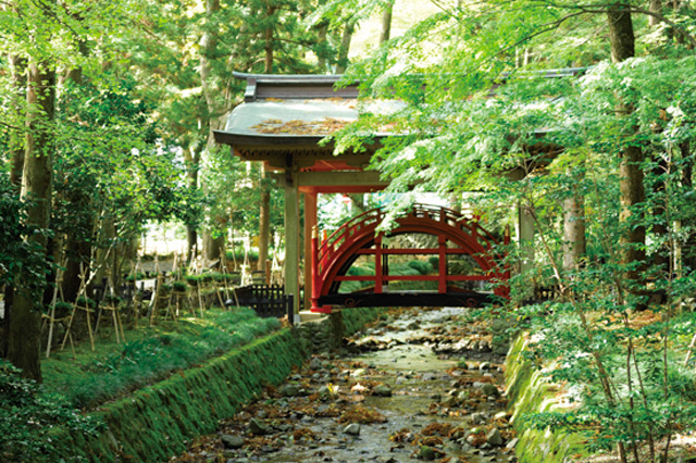 ここが境内の見どころ!