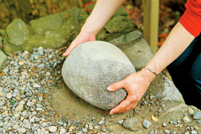 ここが境内の見どころ!