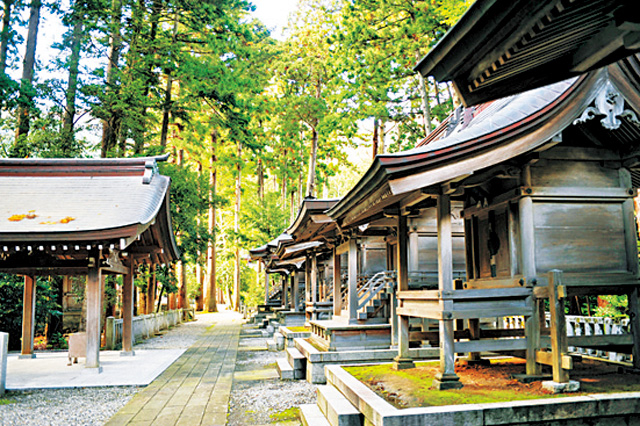 ここが境内の見どころ!