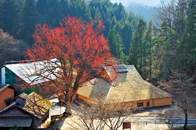 【雲南市エリア】菅谷たたら山内