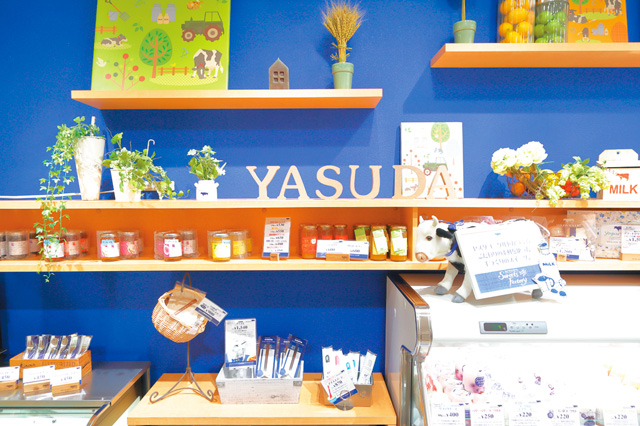 【新潟でおすすめのスイーツ】YASUDA YOGURT CoCoLo南館店