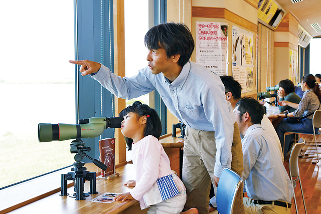 【島根・出雲市駅周辺×観光】2階建ての観察舎からバードウォッチング「宍道湖グリーンパーク」