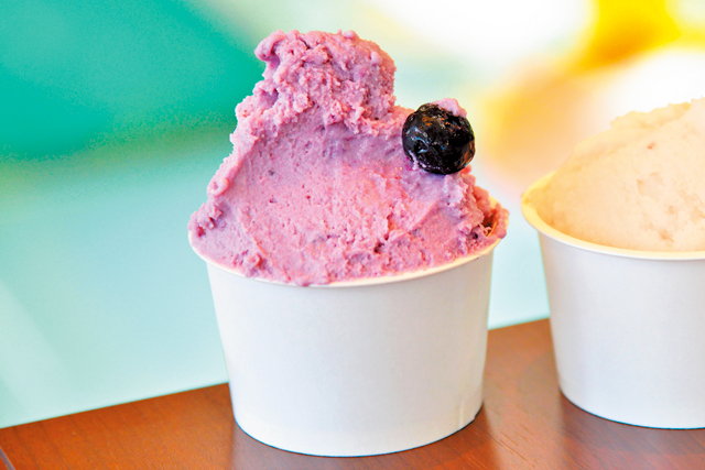 【山形×フルーツスイーツ】喜多屋果実店