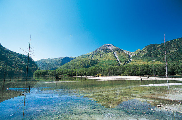 【上高地×大正池〜河童橋コース】①大噴火で姿を現した幻想的な池「大正池」
