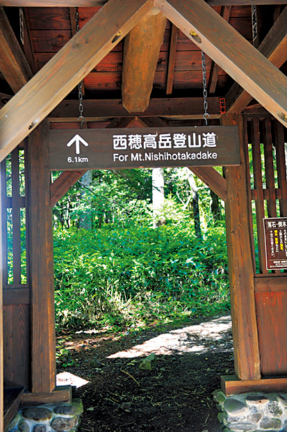 【上高地×大正池〜河童橋コース】③梓川に架かる穴場の撮影スポット「田代橋・穂高橋」