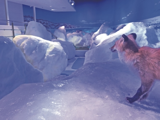 流氷体感テラス