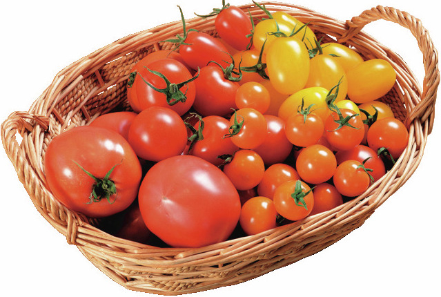 【新潟×農園レストラン】自社栽培の朝採れ野菜で体の中からリフレッシュ「農家レストラン ラ・トラットリア エストルト」<新潟タウン>