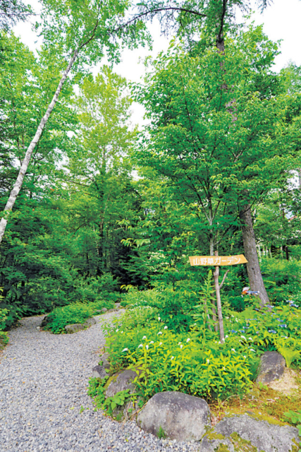 ちょっと立ち寄り♪鍋平高原でプチハイキング