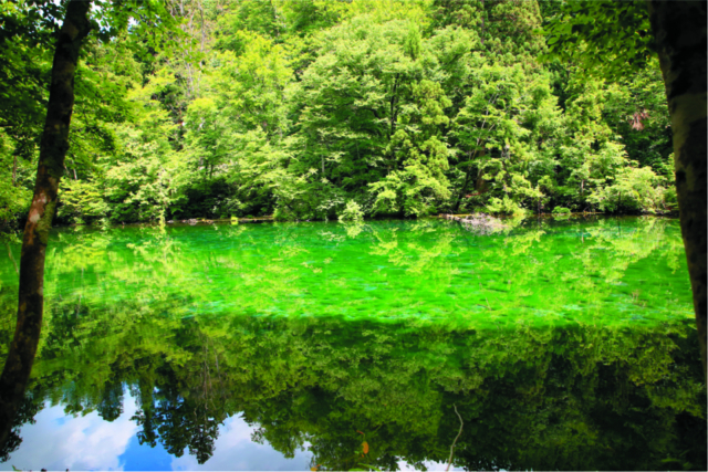 透明度が高く水量が豊富な湧き水「龍ヶ窪」