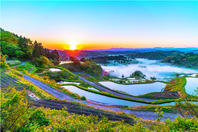 山の斜面に水鏡が並ぶ美景に感動「星峠の棚田」