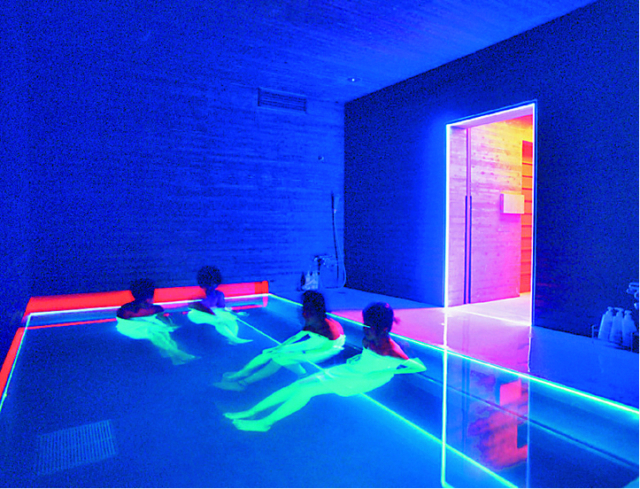 【おもな見どころ】光の館