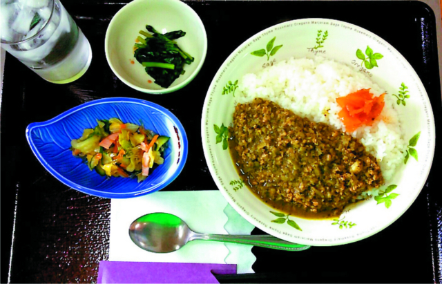 【長岡&小千谷×グルメ】地元野菜たっぷりの郷土ごはん「多菜田」