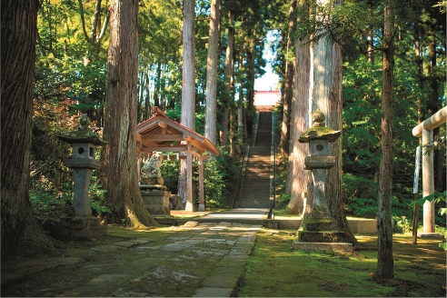 【春日山の立ち寄りスポット③】春日神社