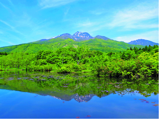 【新潟・妙高高原×ハイキング】いもり池