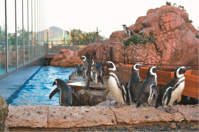 上越市立水族博物館 うみがたり