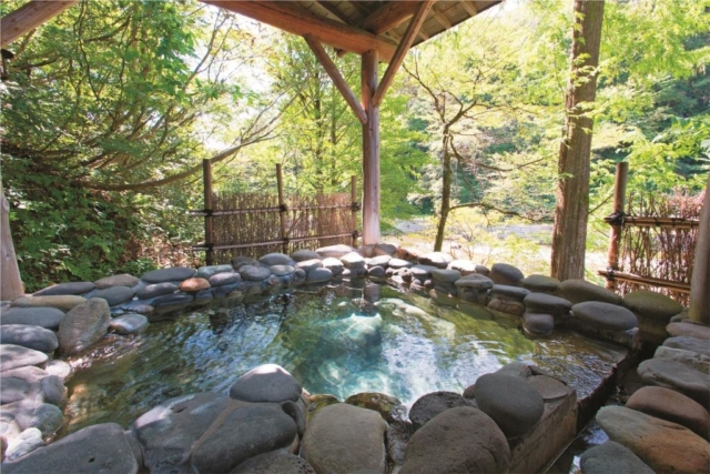 【越後長野温泉】嵐渓荘