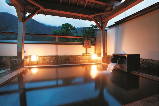 【弥彦湯神社温泉】四季の宿 みのや