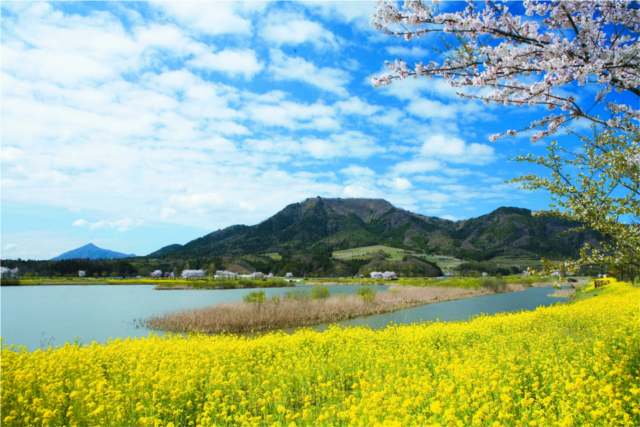 【新潟市郊外の観光・見どころ】上堰潟公園