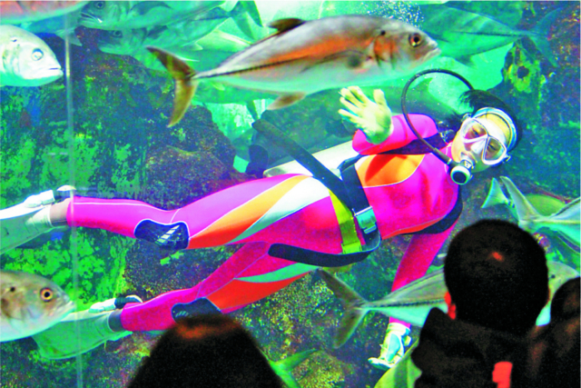 新潟【寺泊・出雲崎】で人気!おすすめの観光・グルメ・ショッピングスポット