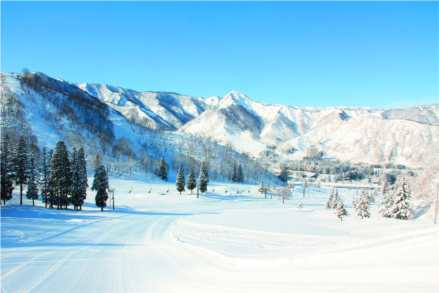【越後湯沢・南魚沼の観光】湯沢中里スノーリゾート