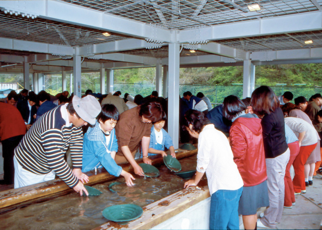 【佐渡島観光モデルコース:2日目⑮】砂金採りにチャレンジ!「佐渡西三川ゴールドパーク」