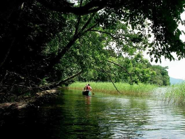 阿寒ネイチャーセンター