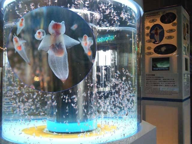 北海道立オホーツク流氷科学センター「GIZA」