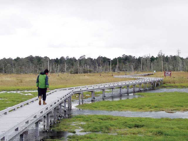 ➄風蓮湖・春国岱