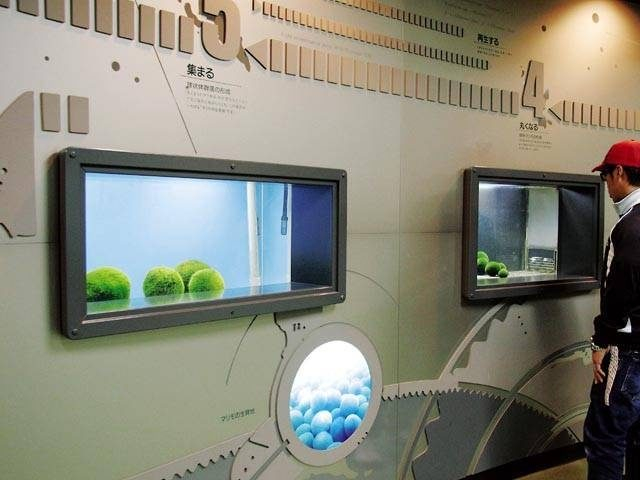 マリモ展示観察センター