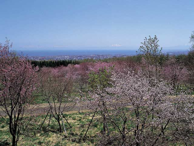 網走の観光スポットは天都山に集まっています!
