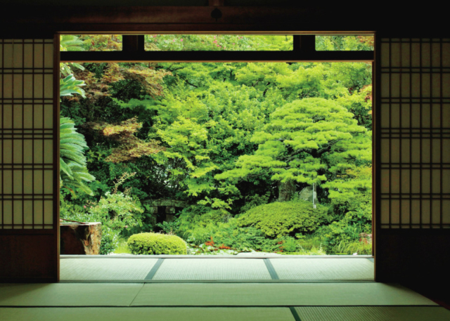 【松江×お抹茶体験】あじさい寺として知られる松平家の菩提寺「月照寺」