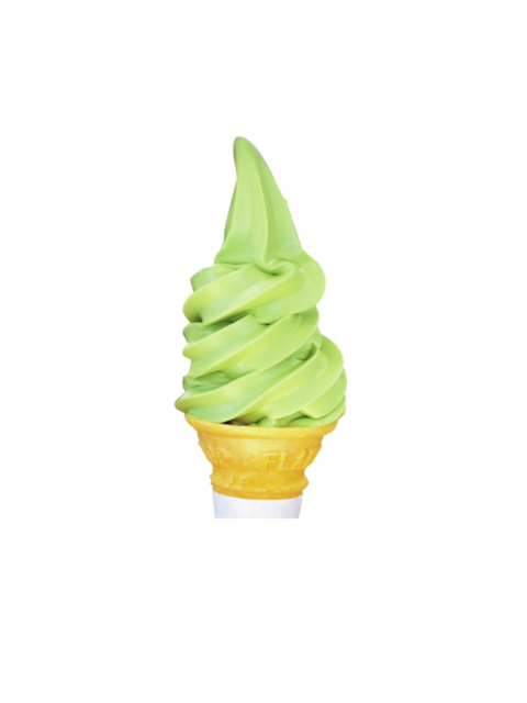 【月江寺×観光】お茶屋さんでひと休み「お茶の春木屋」