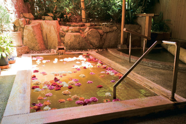 湯元こんぴら温泉華の湯紅梅亭