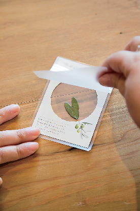 ハート形のオリーブを見つけてしおりを作ろう!