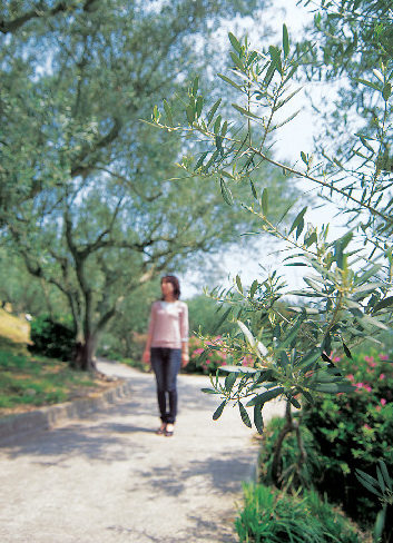 小豆島オリーブ園