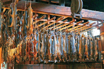 千年鮭 きっかわ