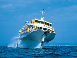 佐渡ってどんな島?