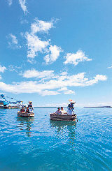 佐渡ってどんな島?