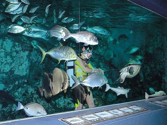 【寺泊】長岡市寺泊水族博物館